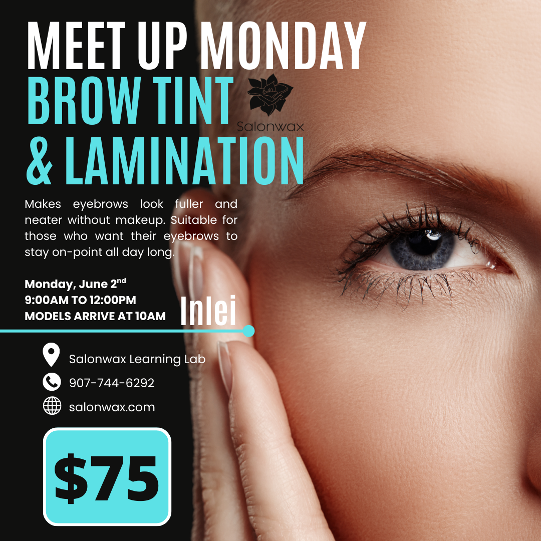 Meet Up Monday- Inlei Brow Lamination & Tint June 2nd 2025