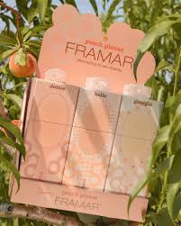 Framar Detangle Brush Display 9pc - Peach Please