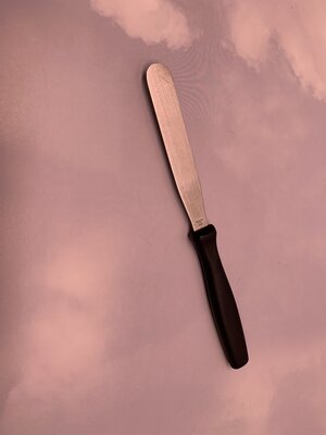 Metal Body Spatula